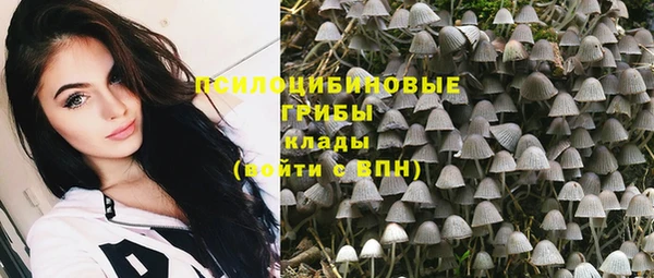 метадон Армянск